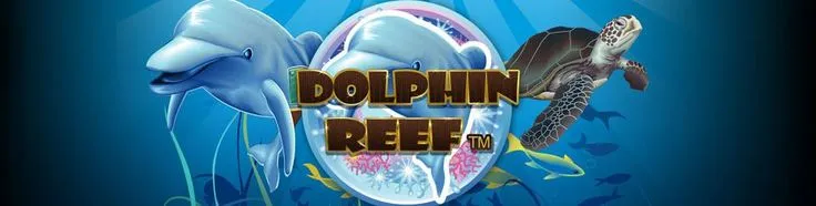 Dolphin Reef